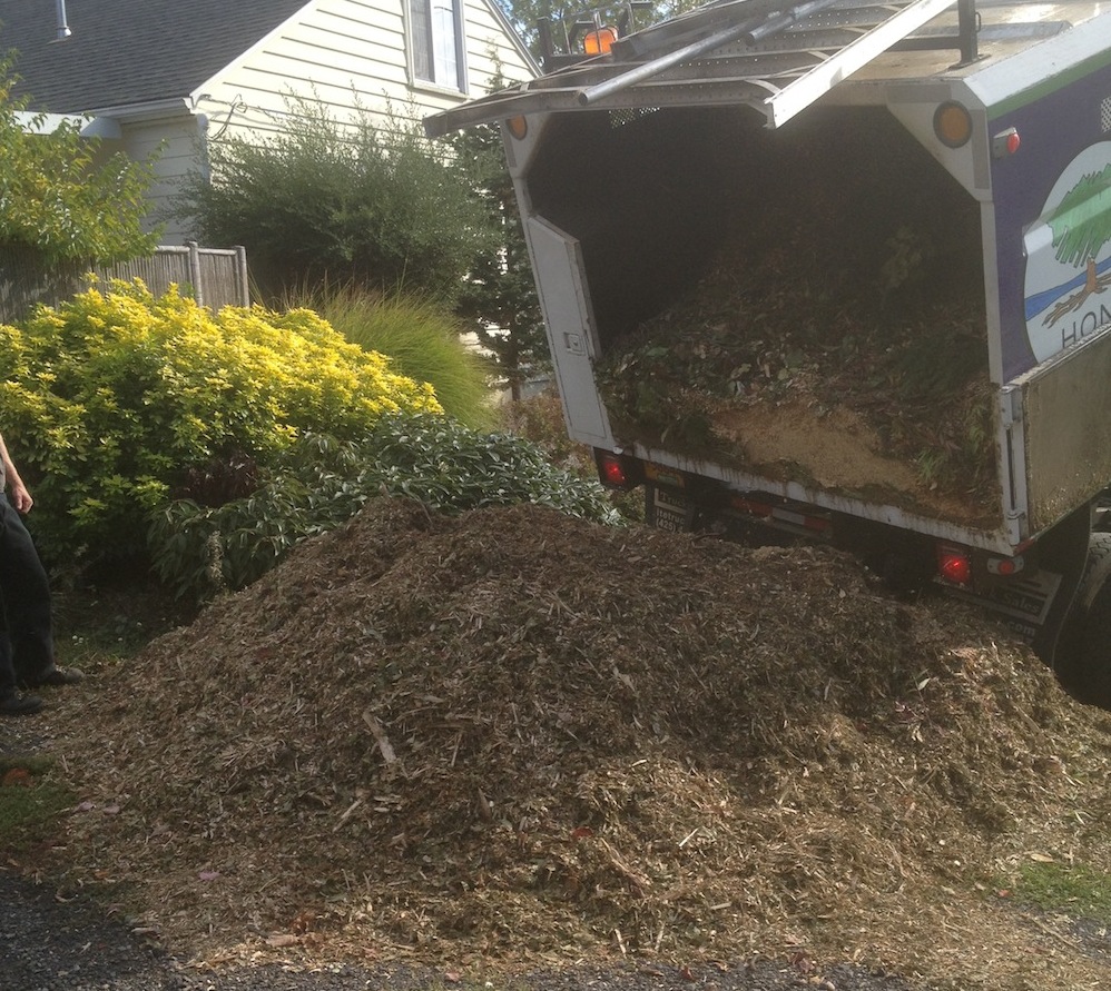 Get free logs and woodchips with ChipDrop - Snohomish Tree Co.